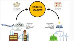 13 Perusahaan Pembeli Perdana Unit Karbon di BEI